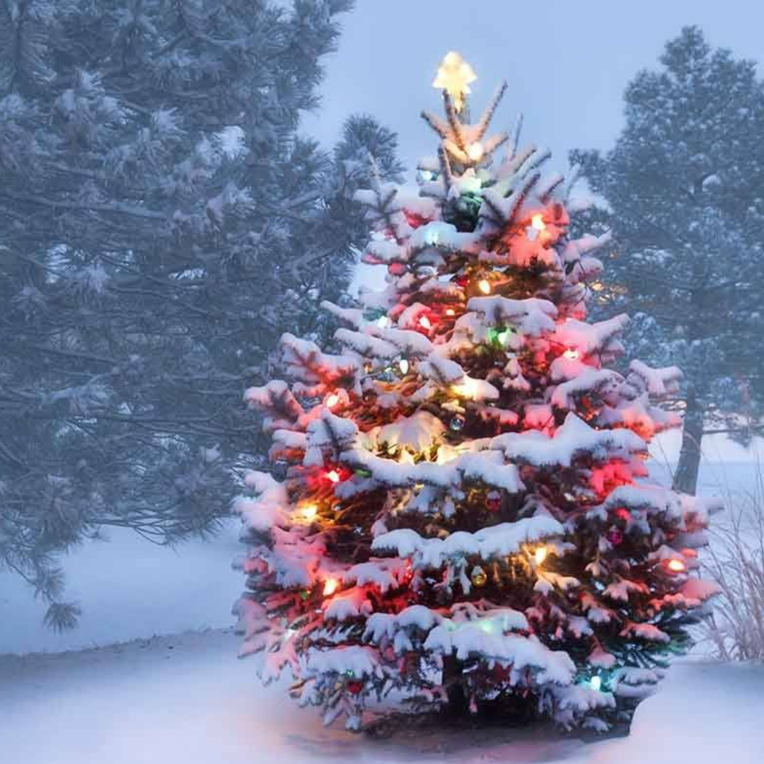 Christmas winter 2023